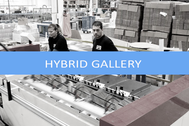 Hybrid gallery