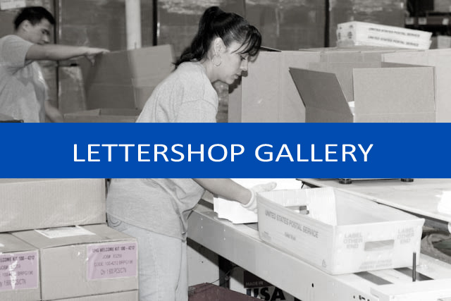 Lettershop gallery
